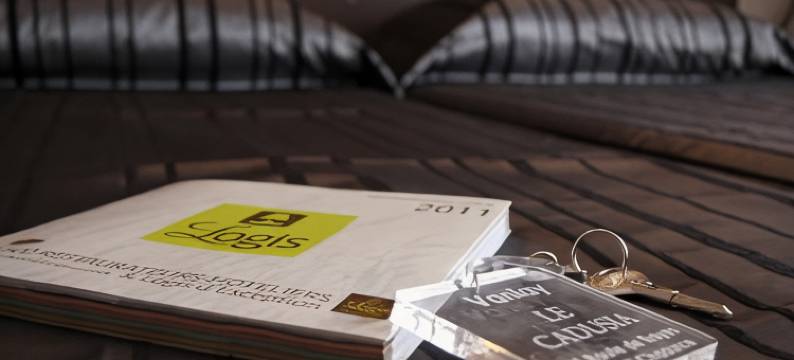 卡度西亚酒店(Logis le Cadusia)图片