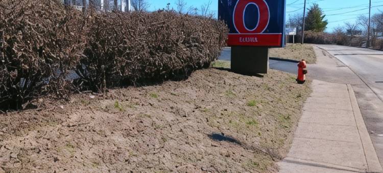 肯塔基路易斯威尔机场/会展中心 6 号套房酒店(Studio 6 Suites Louisville KY  Airport Expo Center)图片