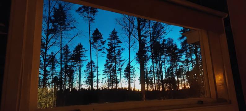 Villa Karllösa Bed and Breakfast图片