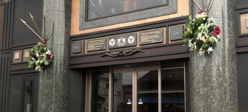 卫星酒店(Hotel Satellite)图片