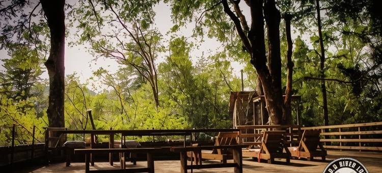 公里6河畔旅舍(K m 6 River Lodge)图片