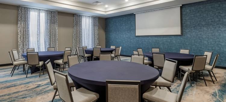 格林维尔机场舒适套房酒店(Comfort Suites Greenville Airport)图片