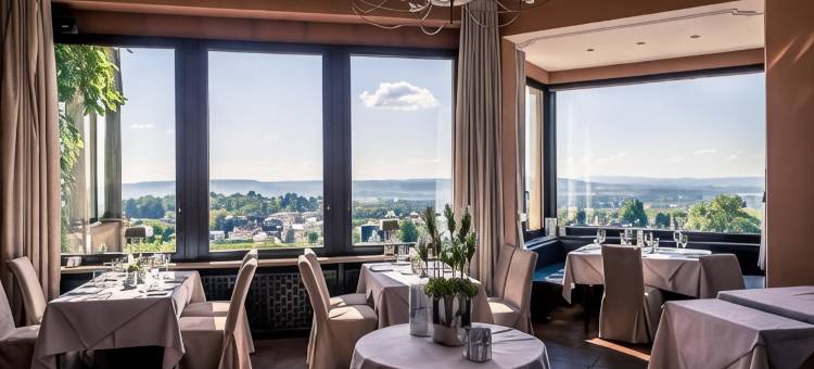 伯格茨瓦尔曾斯坦瑞雷斯城堡酒店(Relais & Châteaux Hotel Burg Schwarzenstein)图片