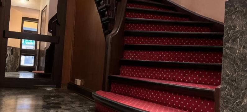 俾斯麦酒店(Hotel Bismarck)图片