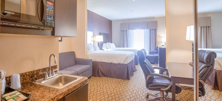 智选假日套房酒店埃尔克城(Holiday Inn Express & Suites Elk City)图片