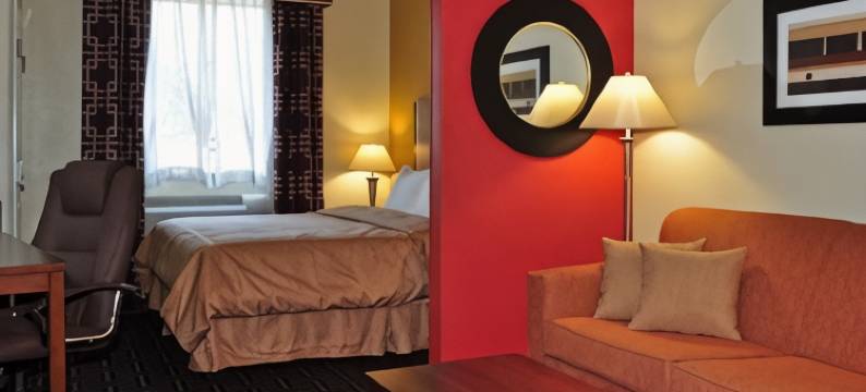 纳基托什舒适套房酒店(Comfort Suites Natchitoches)图片