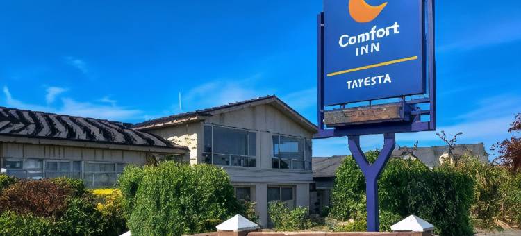 舒适酒店-泰斯塔(Comfort Inn Tayesta Motel)图片