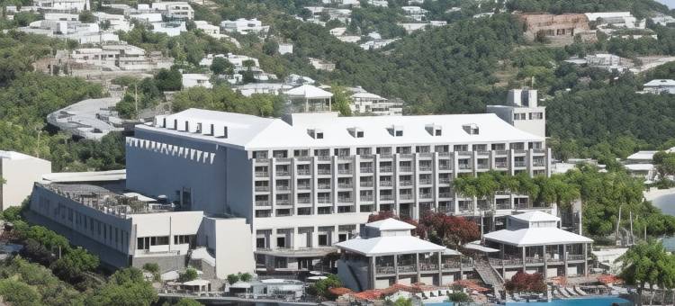 威斯汀圣托马斯海滩度假村及水疗中心(The Westin St. Thomas Beach Resort & Spa)图片