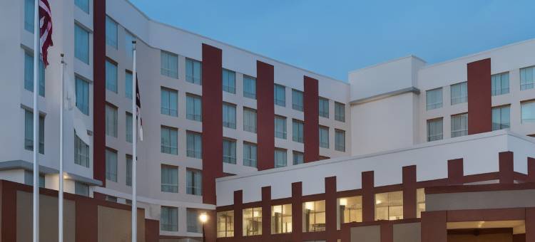 洛特爱斯丽希尔顿安泊酒店(Embassy Suites by Hilton Charlotte Ayrsley)图片