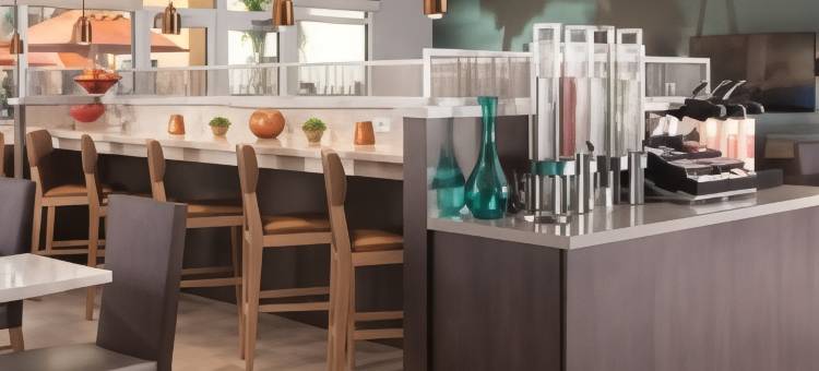 查尔斯顿机场会议中心TownePlace套房酒店(TownePlace Suites Charleston Airport/Convention Center)图片