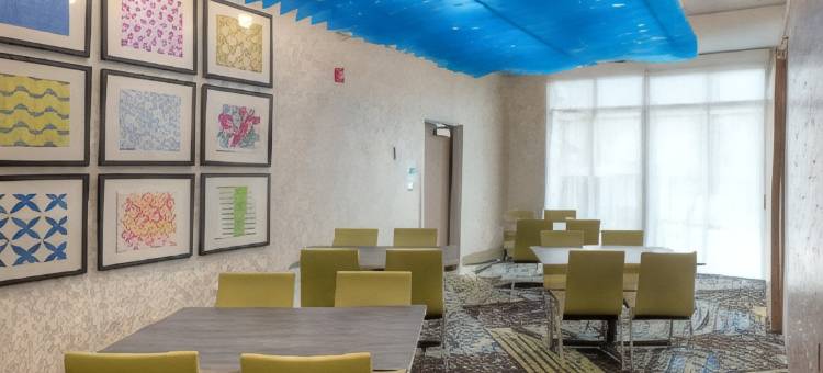 米尔堡智选假日套房酒店(Holiday Inn Express & Suites Fort Mill)图片