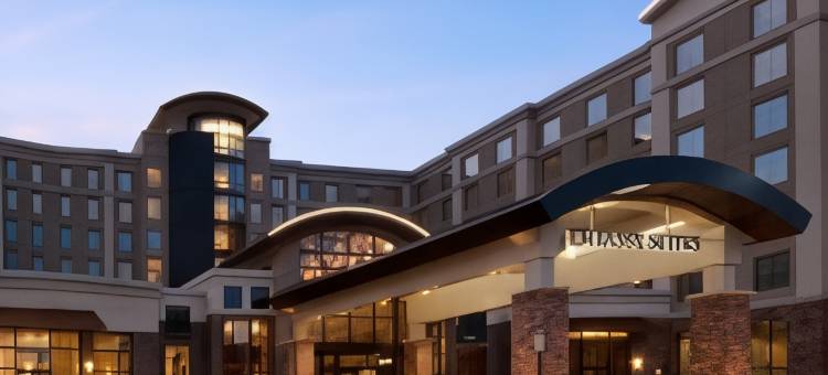 弗吉尼亚州斯普林菲尔德希尔顿安泊酒店(Embassy Suites by Hilton Springfield)图片