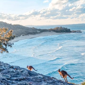 澳大利亚墨尔本+悉尼+大堡礁7日6晚自由行