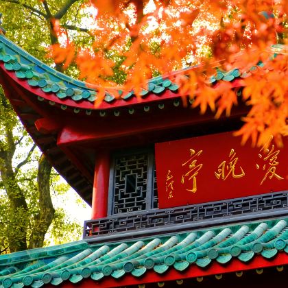 长沙+韶山+橘子洲景区+岳麓书院4日3晚私家团