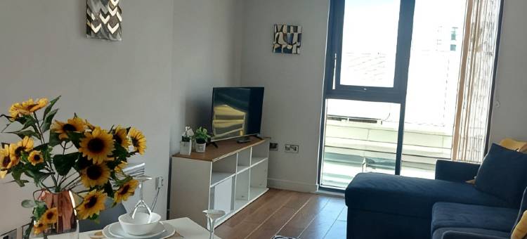 谢菲尔德市中心整套两卧室酒店公寓(Entire 2-BR Serviced Apartment in Sheffield Centre)图片