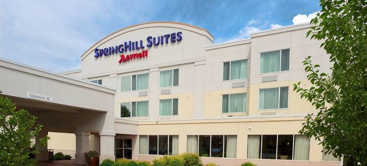 博伊西ParkCenter SpringHill Suites酒店(SpringHill Suites Boise ParkCenter)图片