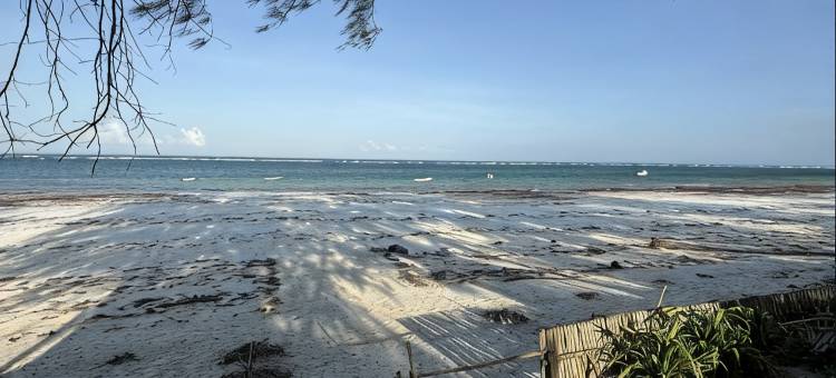 娜娜的波西米亚风海滨别墅带空调&泳池(Nana's boho BeachfrontVilla w/Ac&pool)图片