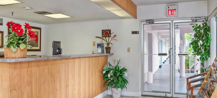 萨拉索塔速8酒店-近西耶斯特基(Super 8 by Wyndham Sarasota Near Siesta Key)图片