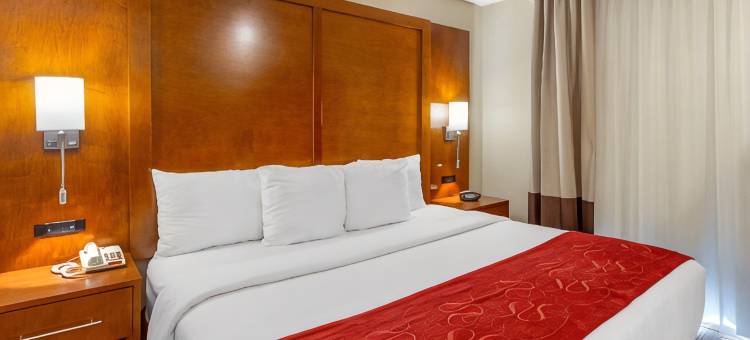 橡树溪阳台近橡树溪中心舒适全套房酒店(Comfort Suites Oakbrook Terrace Near Oakbrook Center)图片