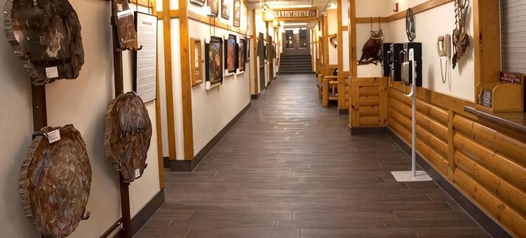卢比斯贝斯特韦斯特优质酒店(Best Western Plus Ruby's Inn)图片