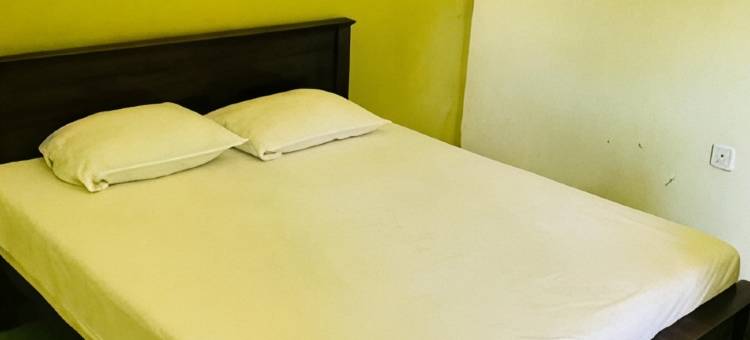 阿拉利亚酒店(Araliya Hotel)图片