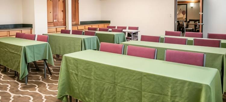 阿尔伯克基北气球嘉年华公园舒适套房酒店(Comfort Suites Albuquerque-North Journal Center)图片