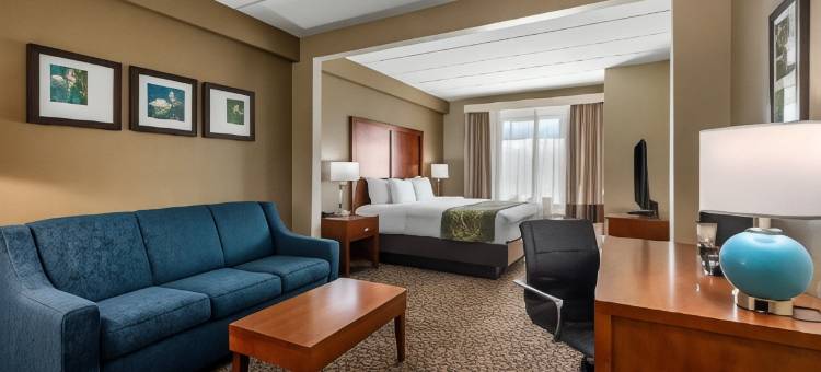 怀尔伍德-村庄舒适套房酒店(Comfort Inn & Suites Wildwood - the Villages)图片