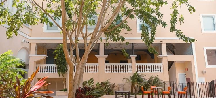 梅尼达中心智选假日酒店(Holiday Inn Express MERIDA CENTRO by IHG)图片