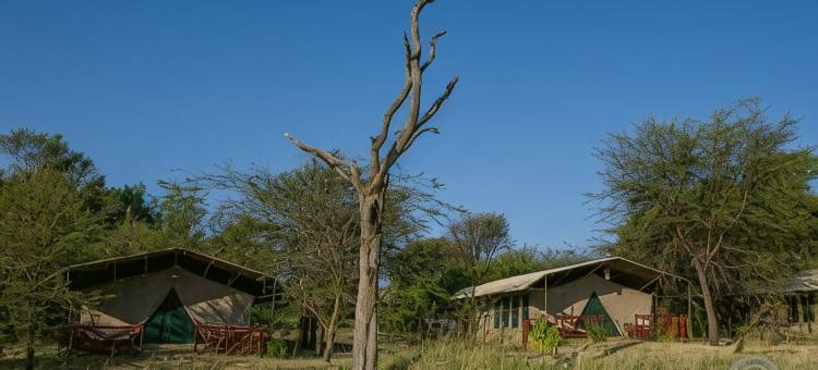 玛布斯墨维塞雷娜豪华帐篷(Mbuzi Mawe Serena Camp)图片