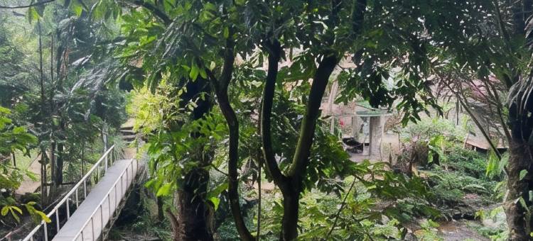 Villa Sentul Forest Club图片