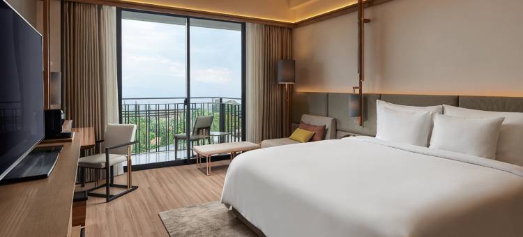 万隆盖亚酒店(The Gaia Hotel Bandung)图片