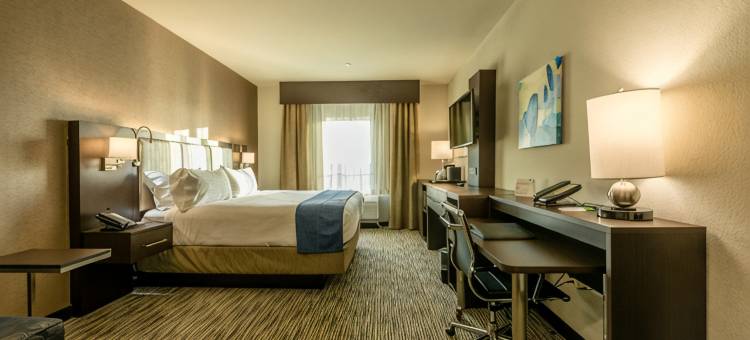 Holiday Inn 奥斯汀(Holiday Inn AUSTIN AIRPORT by IHG)图片