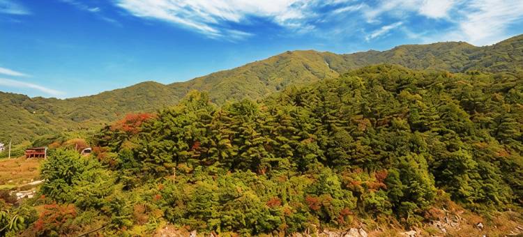 丹阳迪奥乌拉旅馆(Danyang Danyangtteul Pension)图片