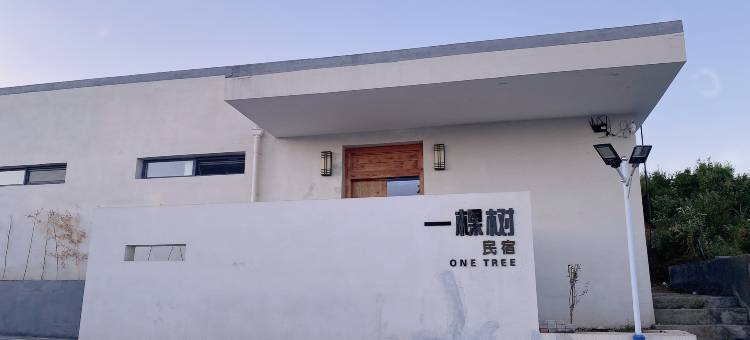 一棵树民宿图片