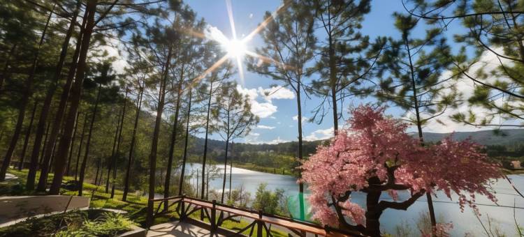 大叻樱桃酒店及度假村(Cereja Hotel & Resort Da Lat)图片