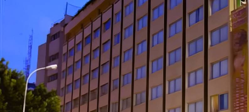 瑟美利阿达那酒店(Surmeli Adana Hotel)图片