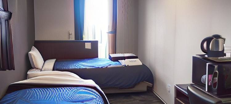 利夫马克斯经济型酒店-名古屋太阁通口店(HOTEL LiVEMAX BUDGET Nagoya Taikodori)图片