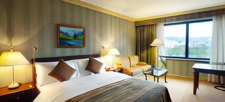 InterContinental Hotels 阿拉木图(InterContinental Almaty)图片