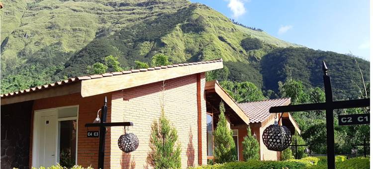 布罗莫露台酒店(Bromo Terrace Hotel)图片