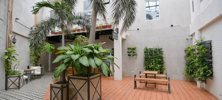维文酒店(Viven Hotel)图片