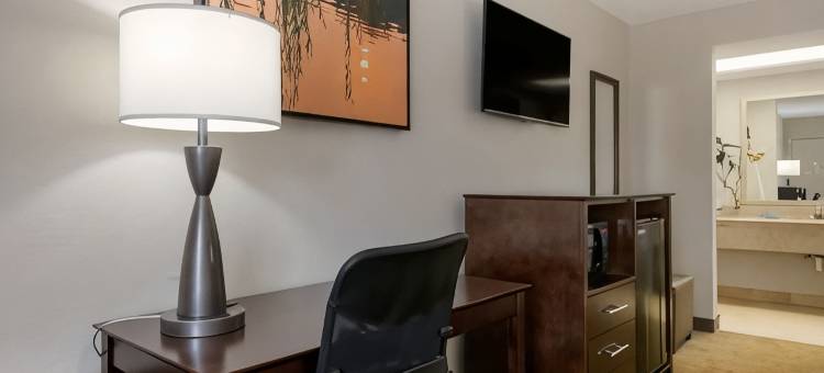 帕拉卡贝斯特韦斯特酒店(Best Western Inn of Palatka)图片