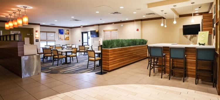 舒适套房酒店-伯锡尔城申里夫波特东(Comfort Suites Bossier City - Shreveport East)图片