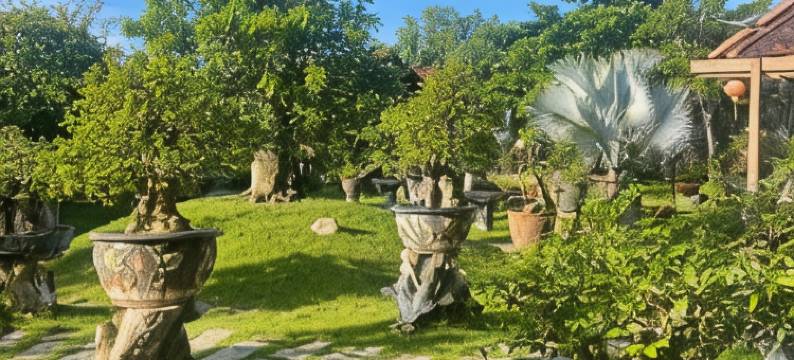 莫克别墅(Moc Villas)图片