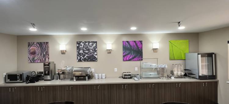 舒眠旅馆及套房萨莱纳I-135(Sleep Inn & Suites Salina I-135)图片