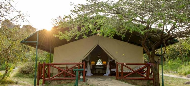 玛布斯墨维塞雷娜豪华帐篷(Mbuzi Mawe Serena Camp)图片