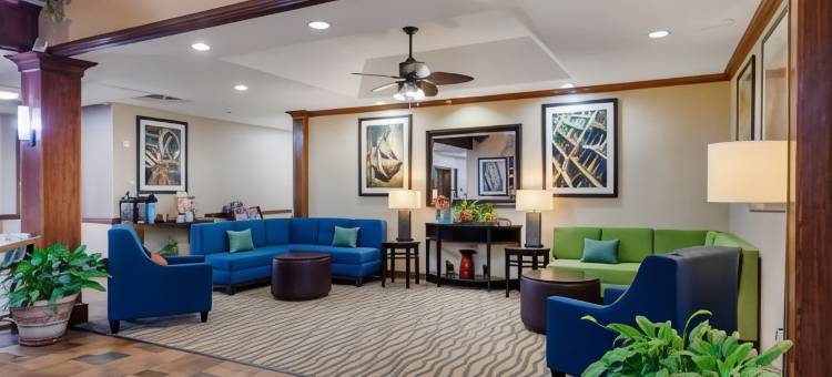 舒适套房酒店-马绍尔(Comfort Suites Marshall)图片