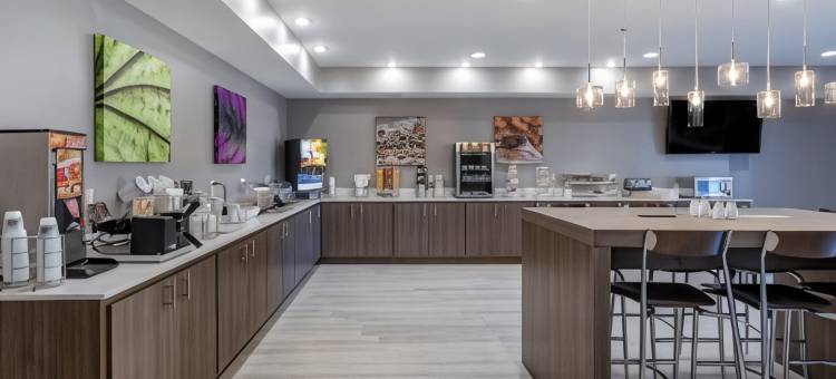 黎巴嫩 - 纳什维尔区斯利普套房酒店(Sleep Inn & Suites Lebanon - Nashville Area)图片