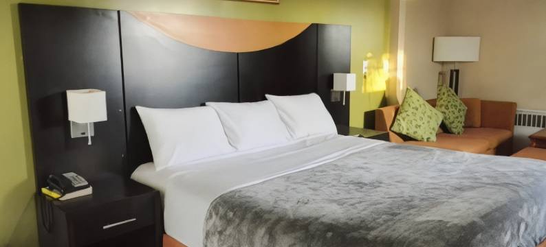 美国广场汽车旅馆(American Plaza Motel)图片