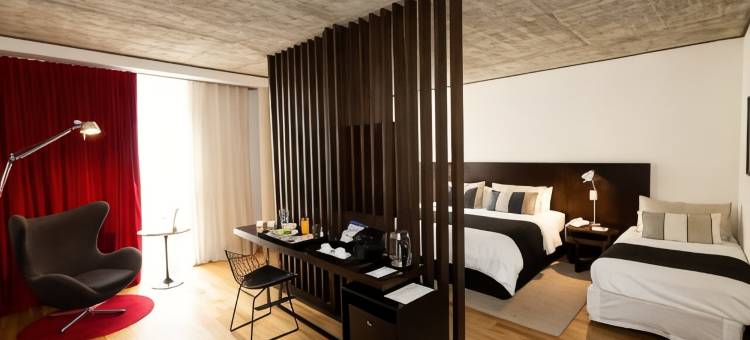 安塞尔莫布宜诺斯艾利斯酒店-希尔顿格芮精选酒店(Anselmo Buenos Aires, Curio Collection by Hilton)图片