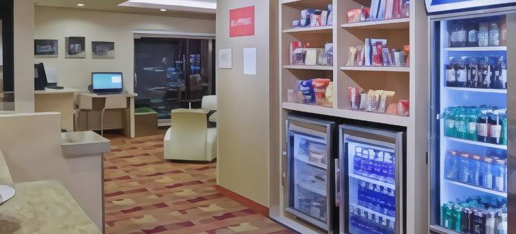 安阿伯TownePlace Suites酒店(TownePlace Suites Ann Arbor)图片